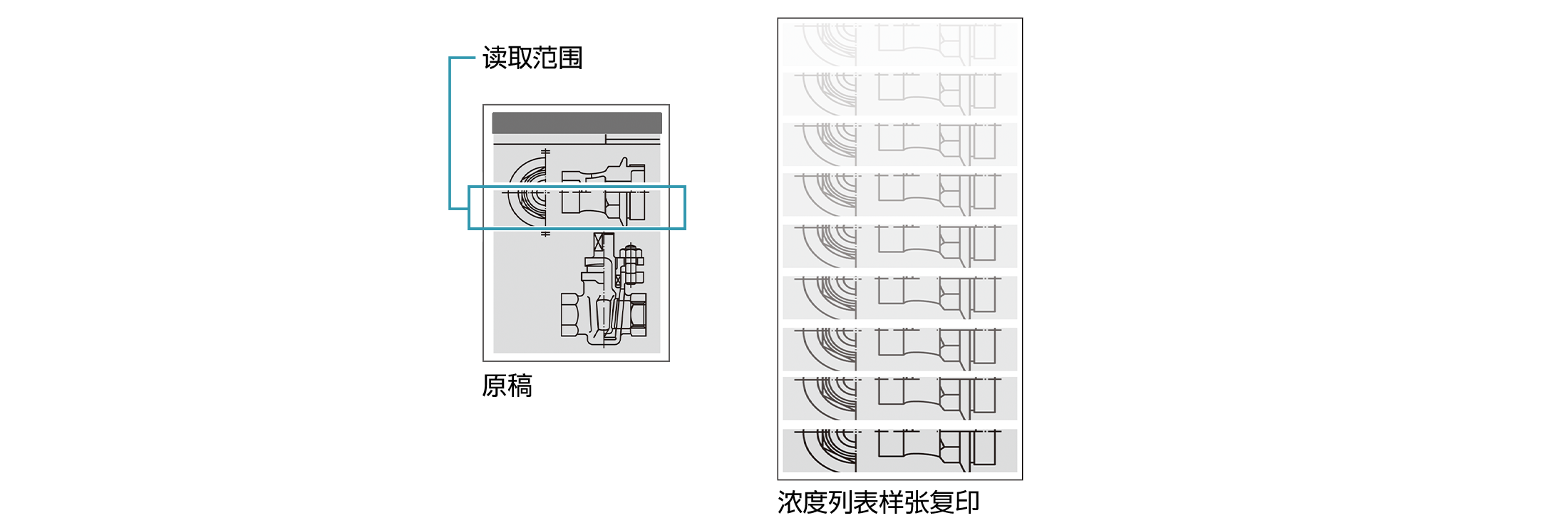 “样本复印”功能