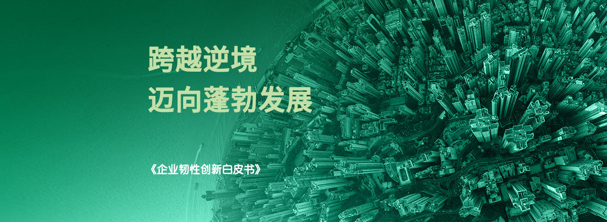 《企业韧性创新白皮书》