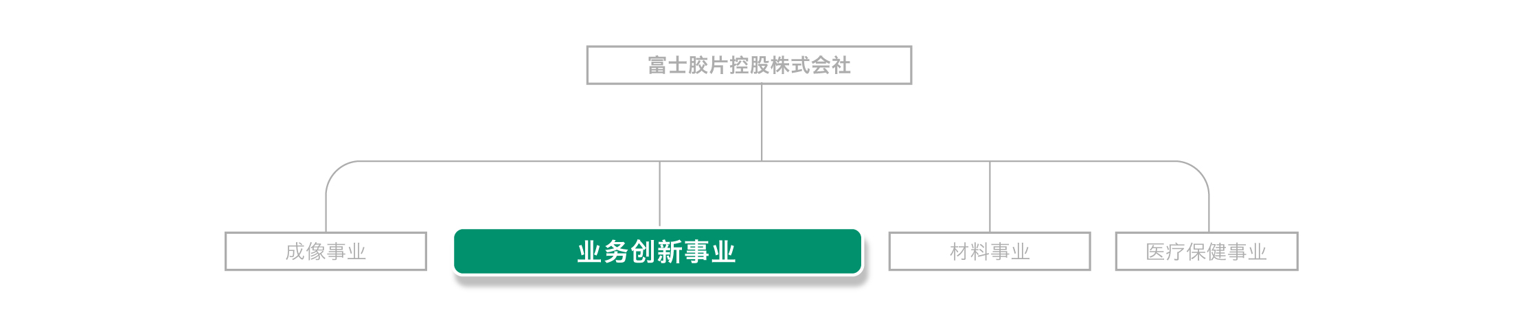 富士胶片控股开展了4项事业，我们通过商务创新事业为客户的成长做贡献。