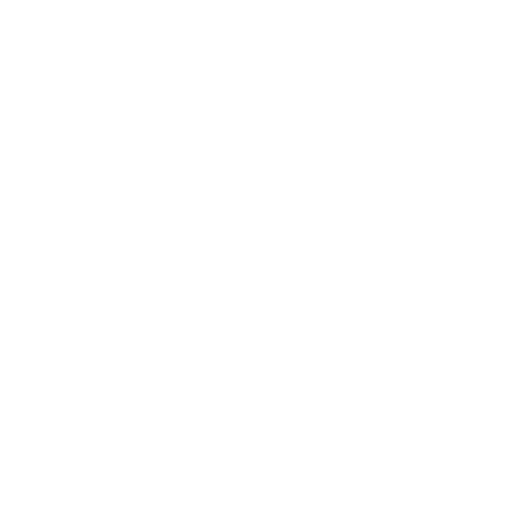 Increased Security Icon